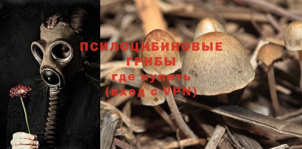 гидра Белоозёрский